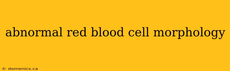 abnormal red blood cell morphology