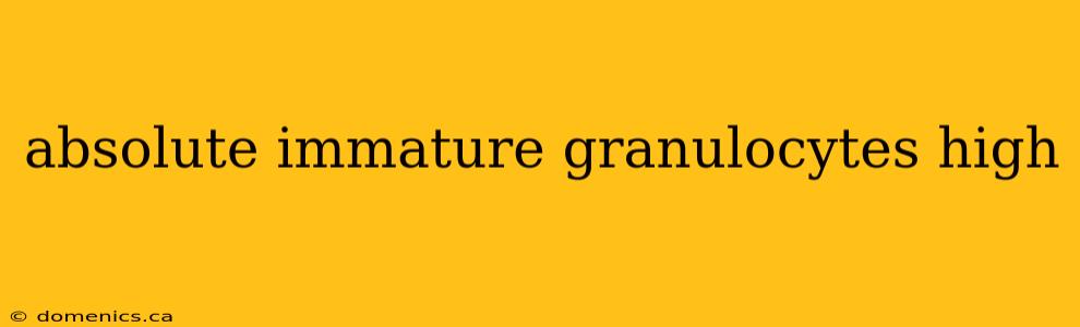 absolute immature granulocytes high