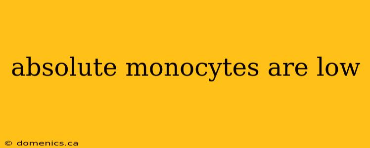 absolute monocytes are low