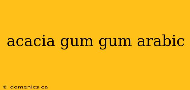acacia gum gum arabic
