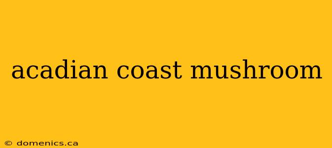 acadian coast mushroom