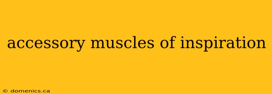 accessory muscles of inspiration