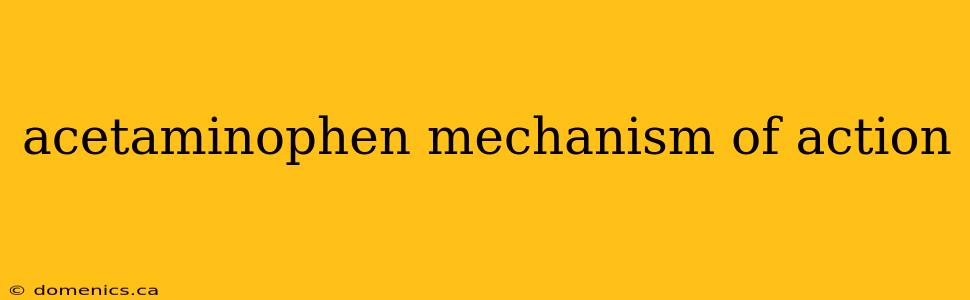 acetaminophen mechanism of action