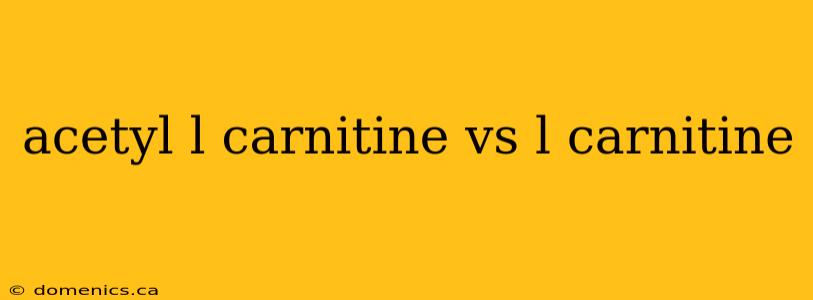 acetyl l carnitine vs l carnitine