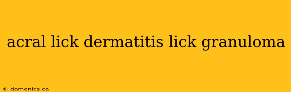 acral lick dermatitis lick granuloma