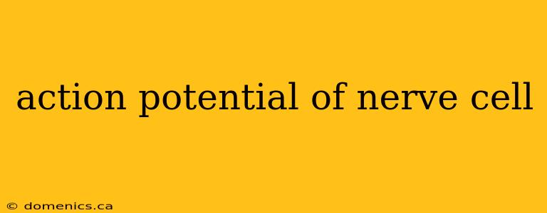 action potential of nerve cell