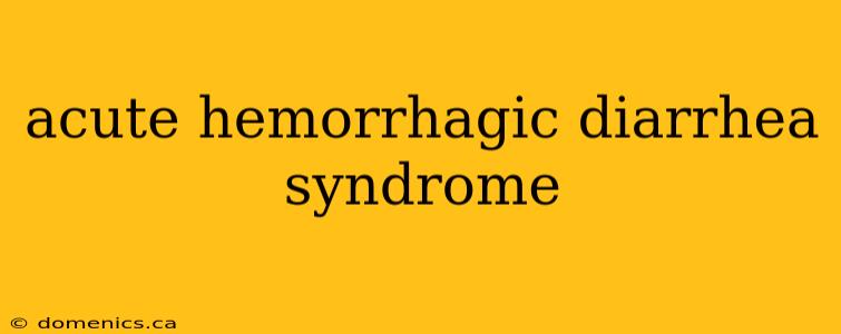 acute hemorrhagic diarrhea syndrome