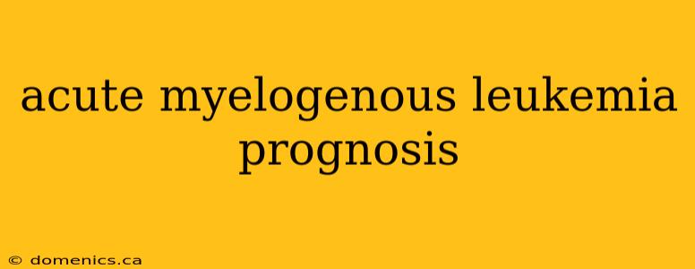 acute myelogenous leukemia prognosis