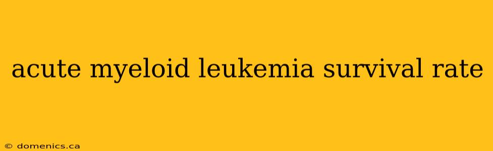 acute myeloid leukemia survival rate