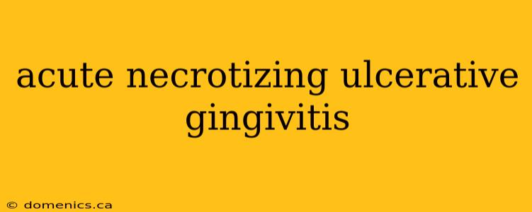 acute necrotizing ulcerative gingivitis