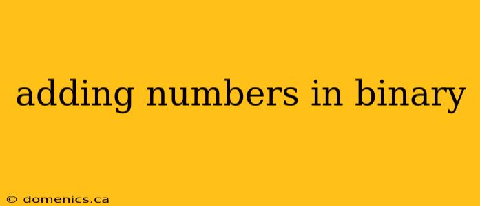 adding numbers in binary