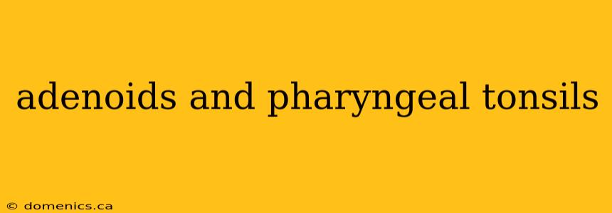 adenoids and pharyngeal tonsils