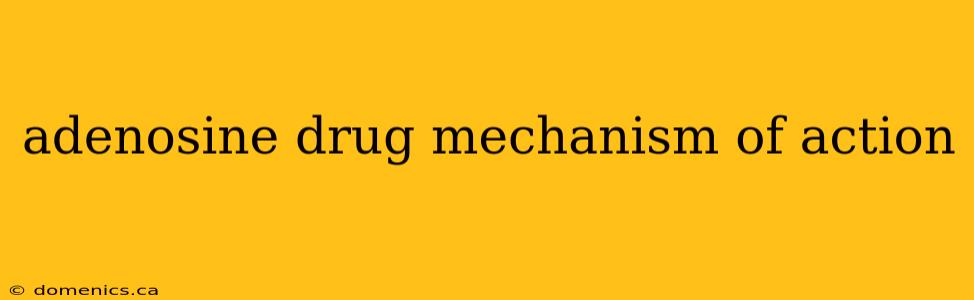 adenosine drug mechanism of action