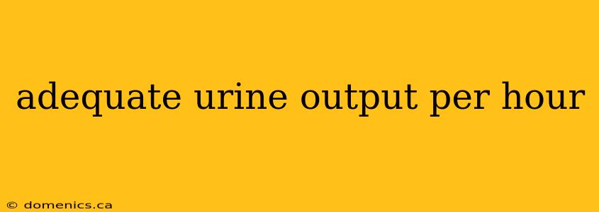 adequate urine output per hour