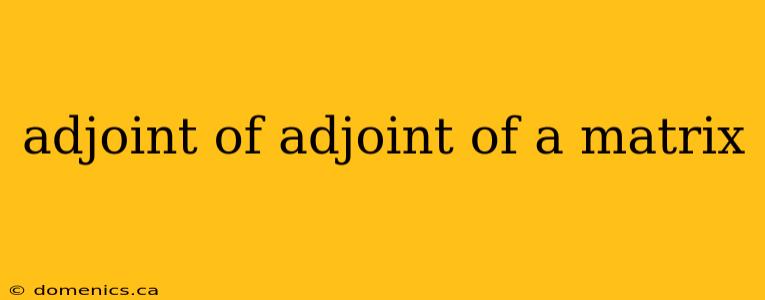 adjoint of adjoint of a matrix