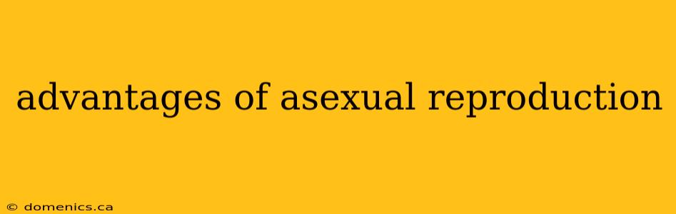 advantages of asexual reproduction