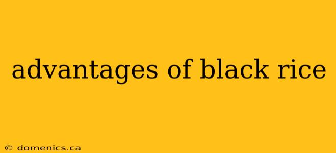 advantages of black rice