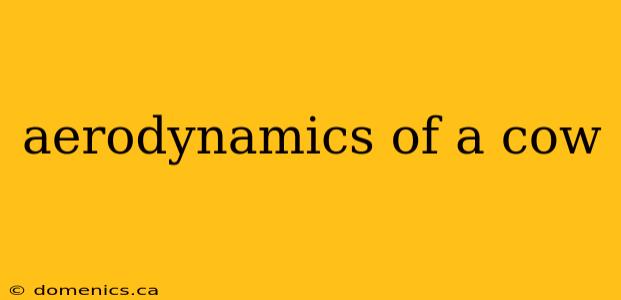 aerodynamics of a cow