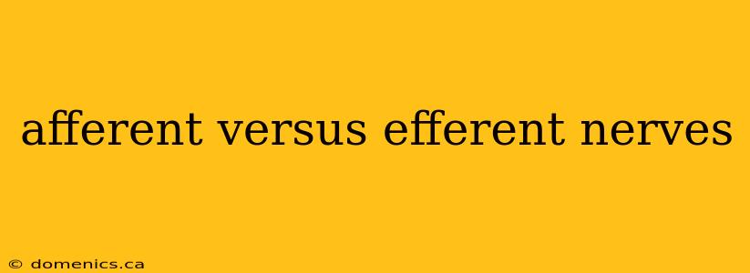 afferent versus efferent nerves