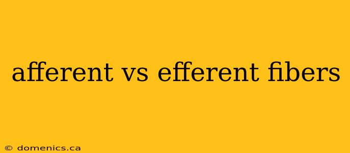 afferent vs efferent fibers