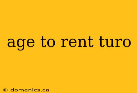 age to rent turo