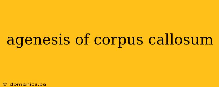 agenesis of corpus callosum