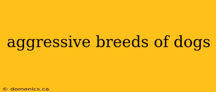 aggressive breeds of dogs