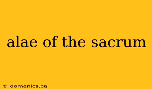 alae of the sacrum