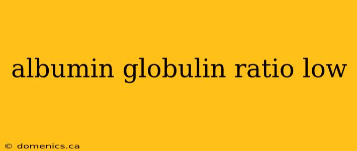 albumin globulin ratio low