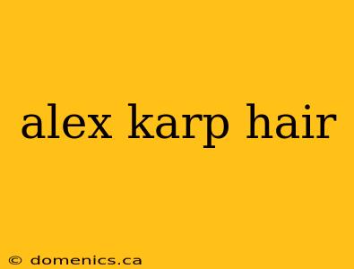 alex karp hair