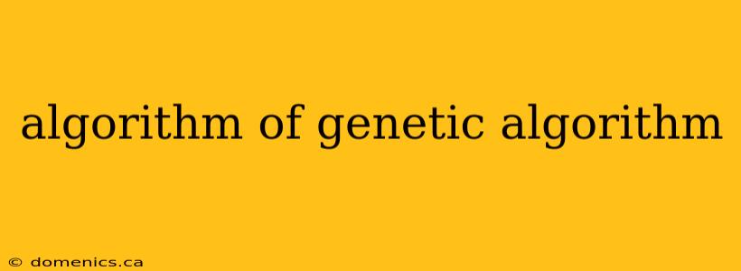 algorithm of genetic algorithm