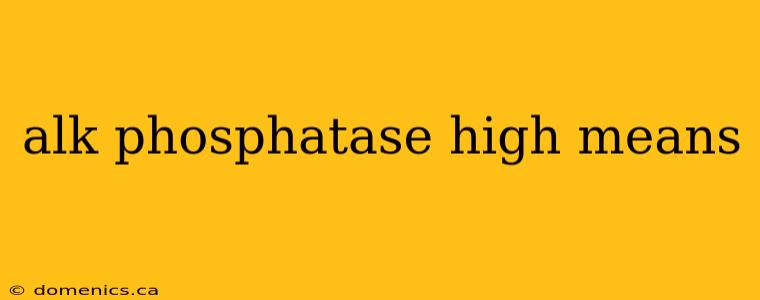 alk phosphatase high means