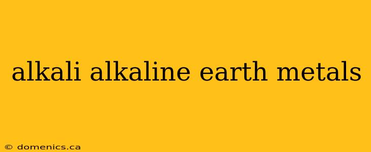 alkali alkaline earth metals