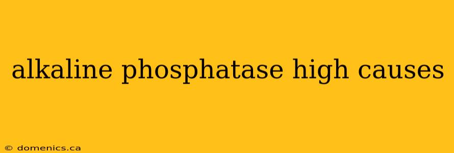 alkaline phosphatase high causes