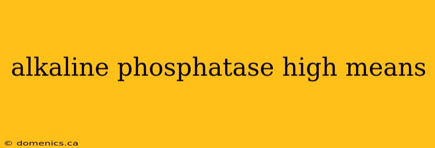 alkaline phosphatase high means