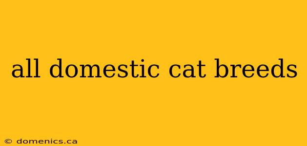 all domestic cat breeds