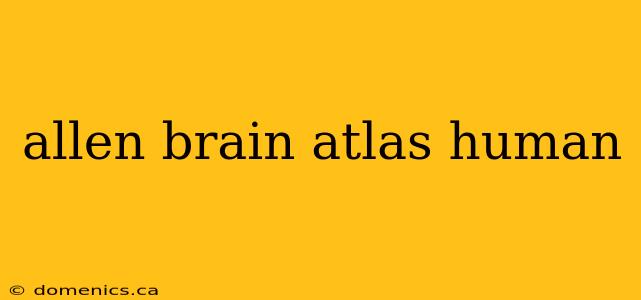 allen brain atlas human