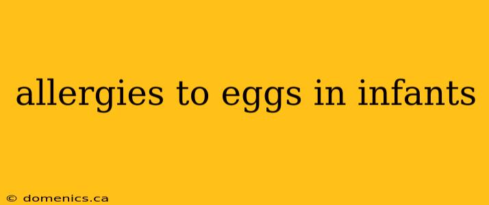 allergies to eggs in infants