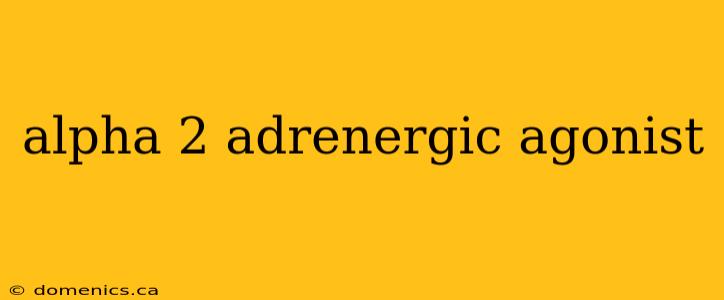 alpha 2 adrenergic agonist