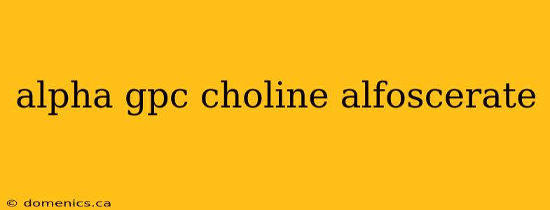 alpha gpc choline alfoscerate