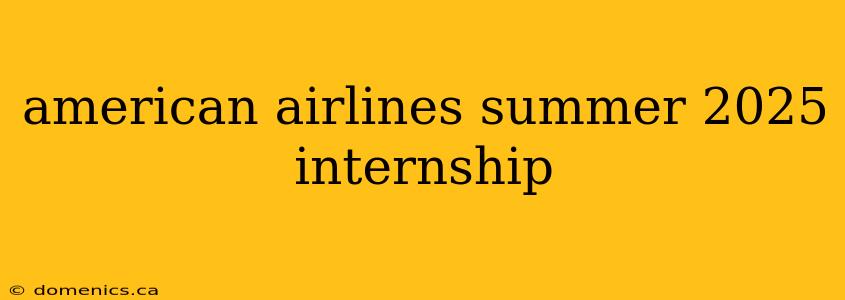 american airlines summer 2025 internship