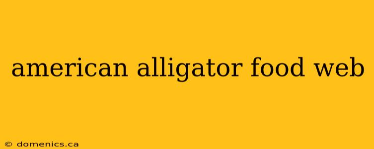 american alligator food web