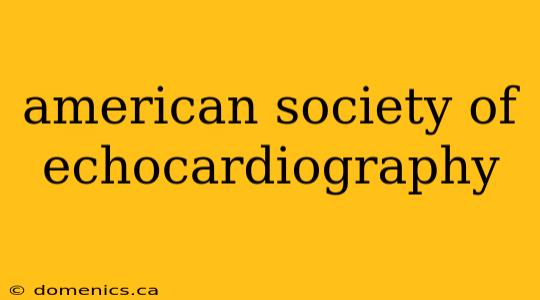 american society of echocardiography