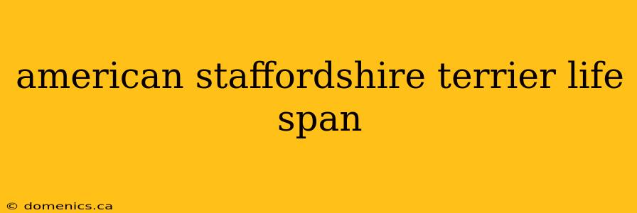 american staffordshire terrier life span