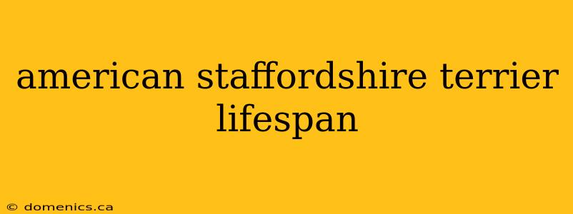 american staffordshire terrier lifespan