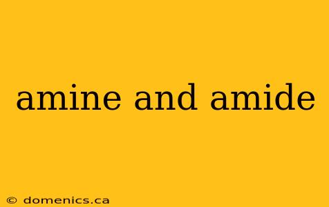 amine and amide