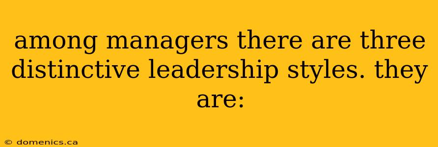 among managers there are three distinctive leadership styles. they are: