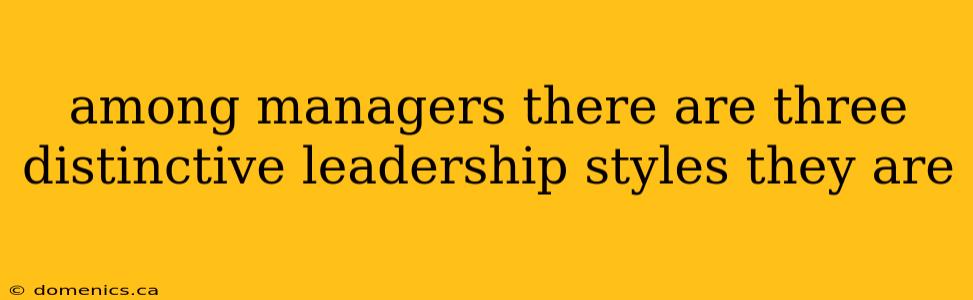 among managers there are three distinctive leadership styles they are