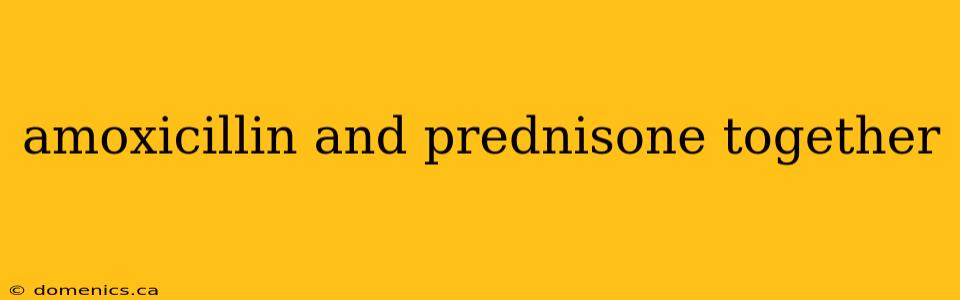 amoxicillin and prednisone together