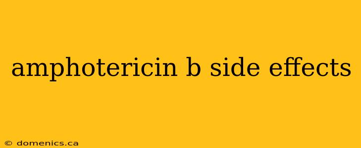 amphotericin b side effects